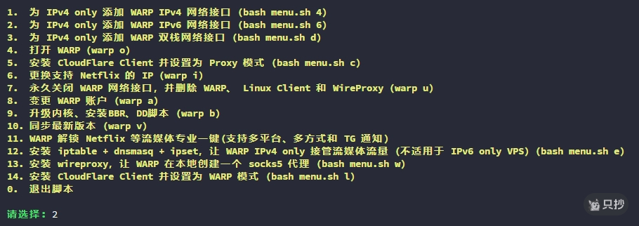 IPv4 Only