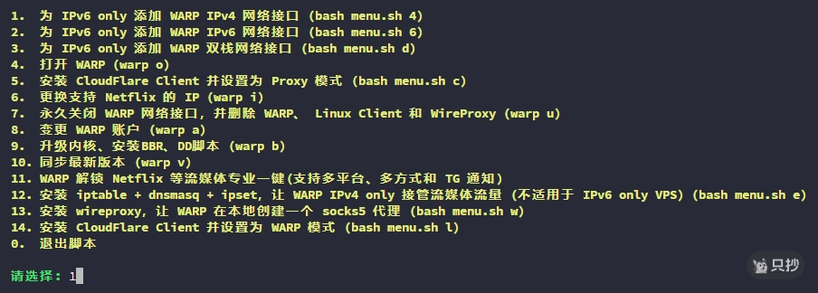 IPv6 Only