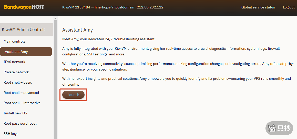 启动 Amy
