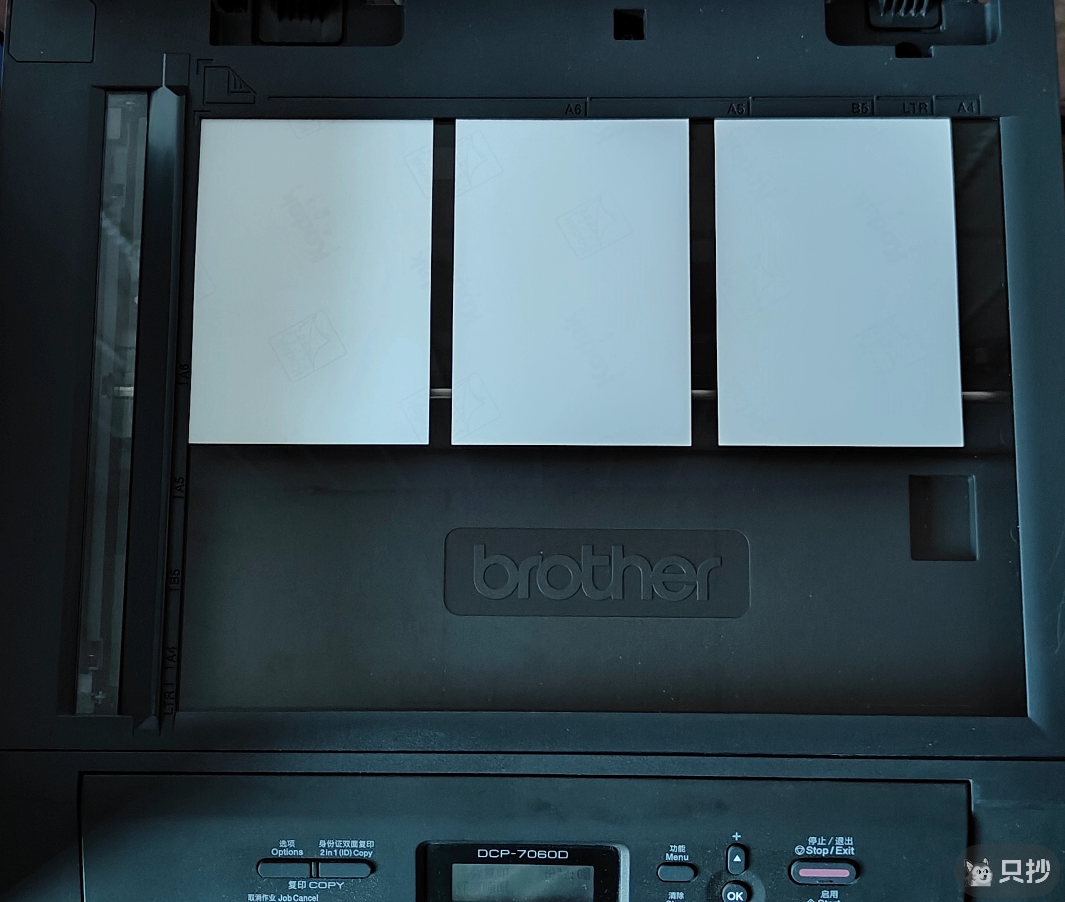 五寸（三张）