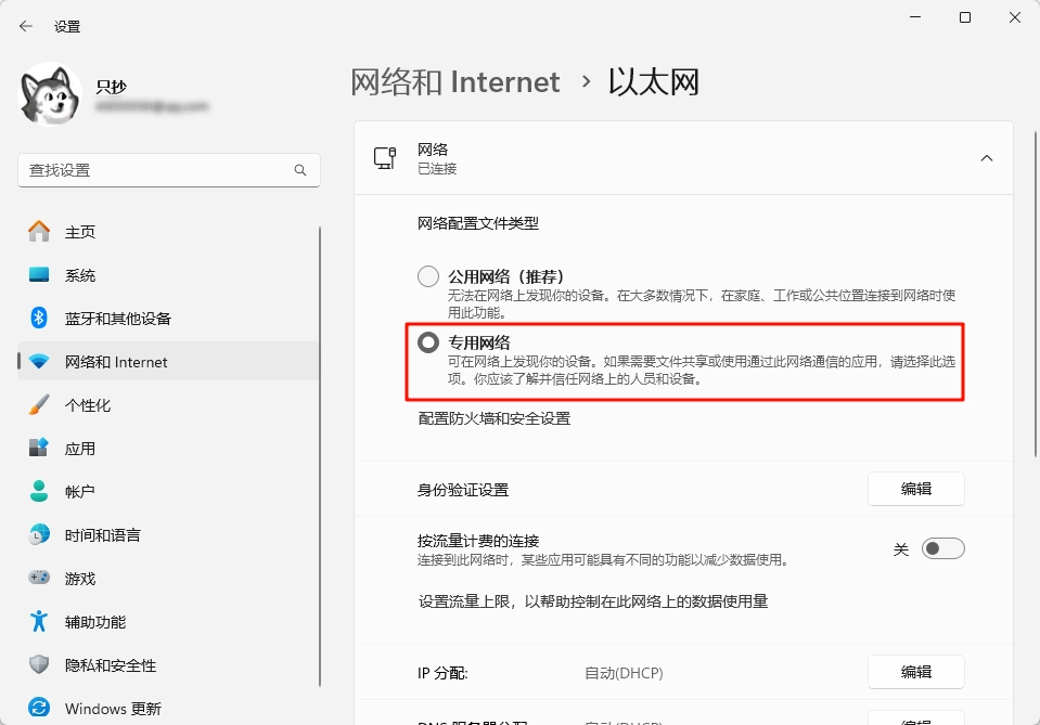 专用网络