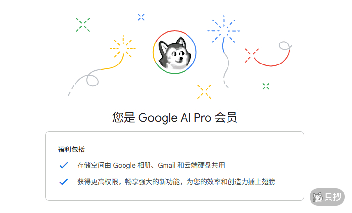 您是 Google AI Pro 会员