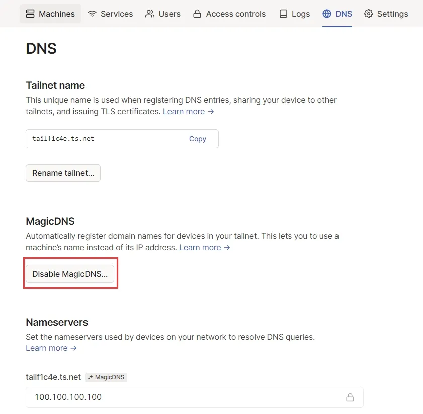 MagicDNS