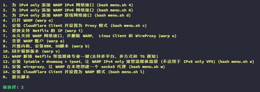 IPv4 Only